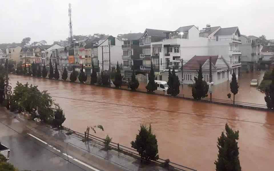 Nhà kính phủ trắng đồi khiến Đà Lạt thành sông - Ảnh 12. Nhà kính phủ trắng đồi khiến Đà Lạt thành sông - Ảnh 12.