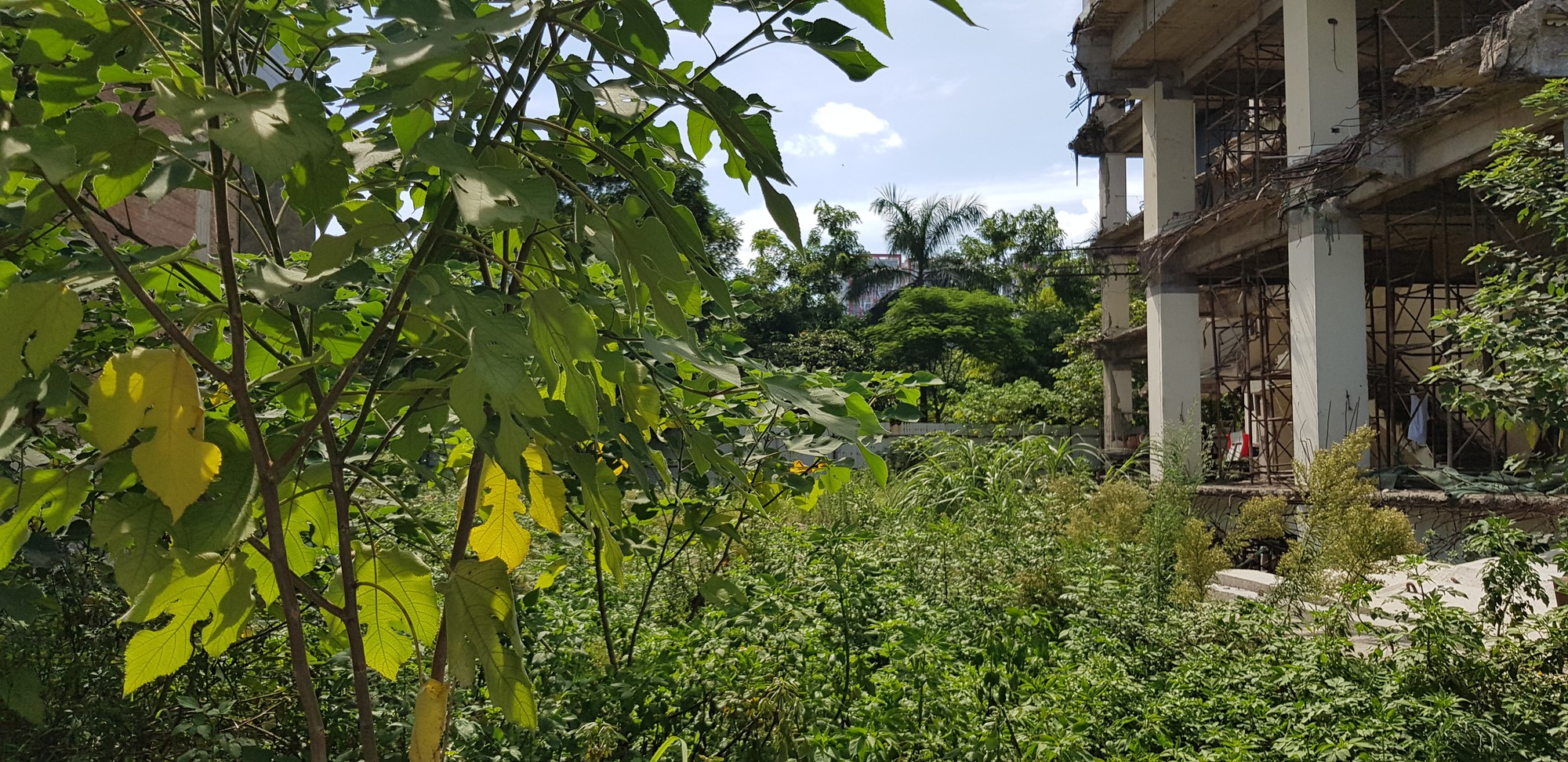 20190813_142232