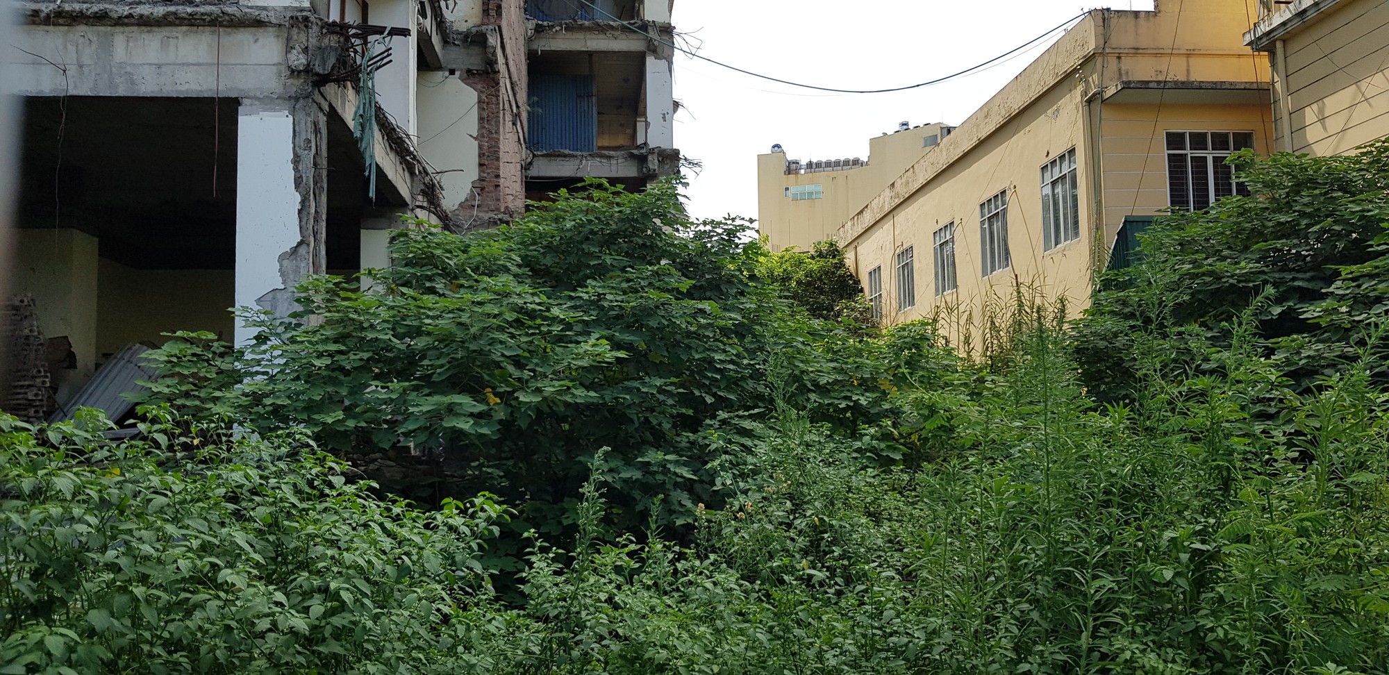 20190813_142441