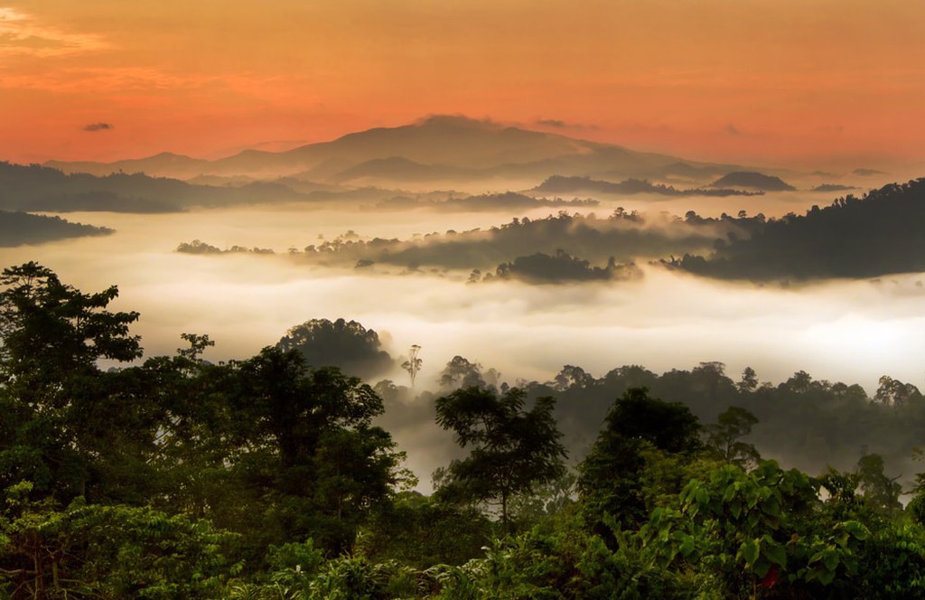 shutterstock_449654731 shutterstock_449654731