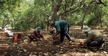 102 hộ trong một xã vướng tín dụng đen, vay 160 triệu lãi lên... 1,6 tỉ đồng