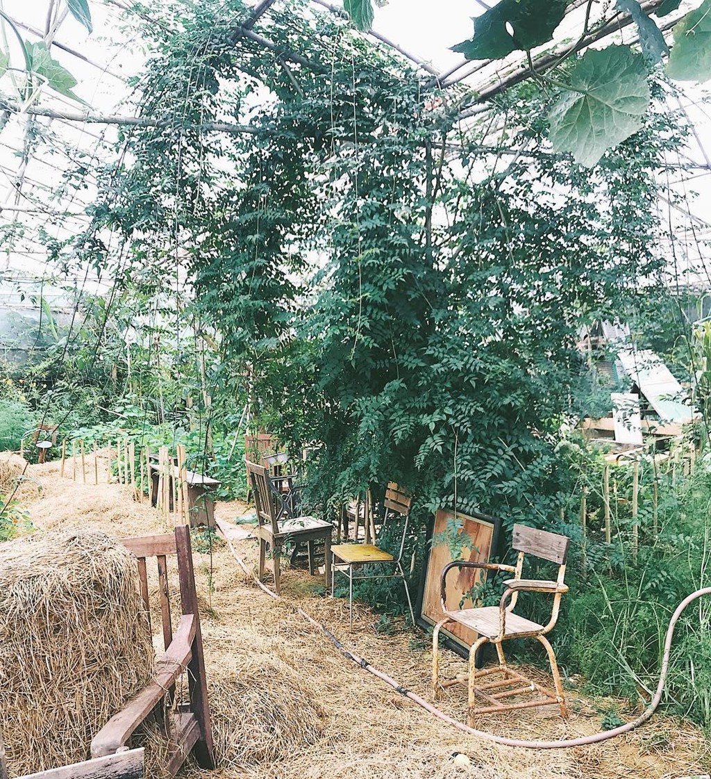 Ghim ngay 9 homestay Da Lat sang chanh co gia 500.000 dong hinh anh 23 Ghim ngay 9 homestay Da Lat sang chanh co gia 500.000 dong hinh anh 23
