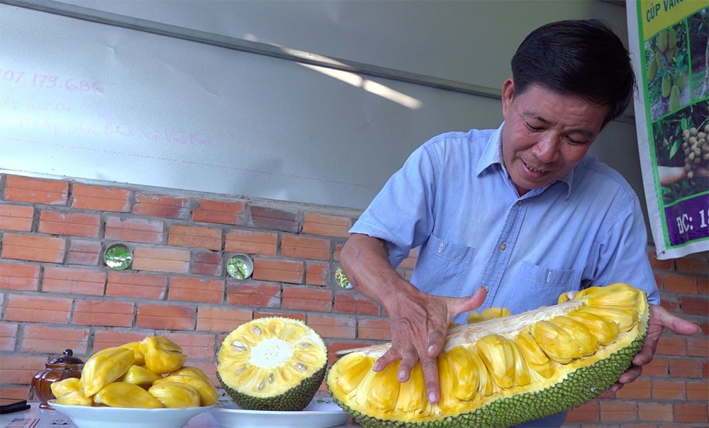 Giống mít kỳ lạ ở miền Tây, quả nặng 40 kg, múi to khổng lồ - Ảnh 6.