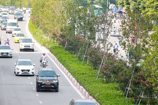 Con đường hoa tường vi nở hồng lãng mạn ở Hà Nội - Ảnh 2. Con đường hoa tường vi nở hồng lãng mạn ở Hà Nội - Ảnh 2.