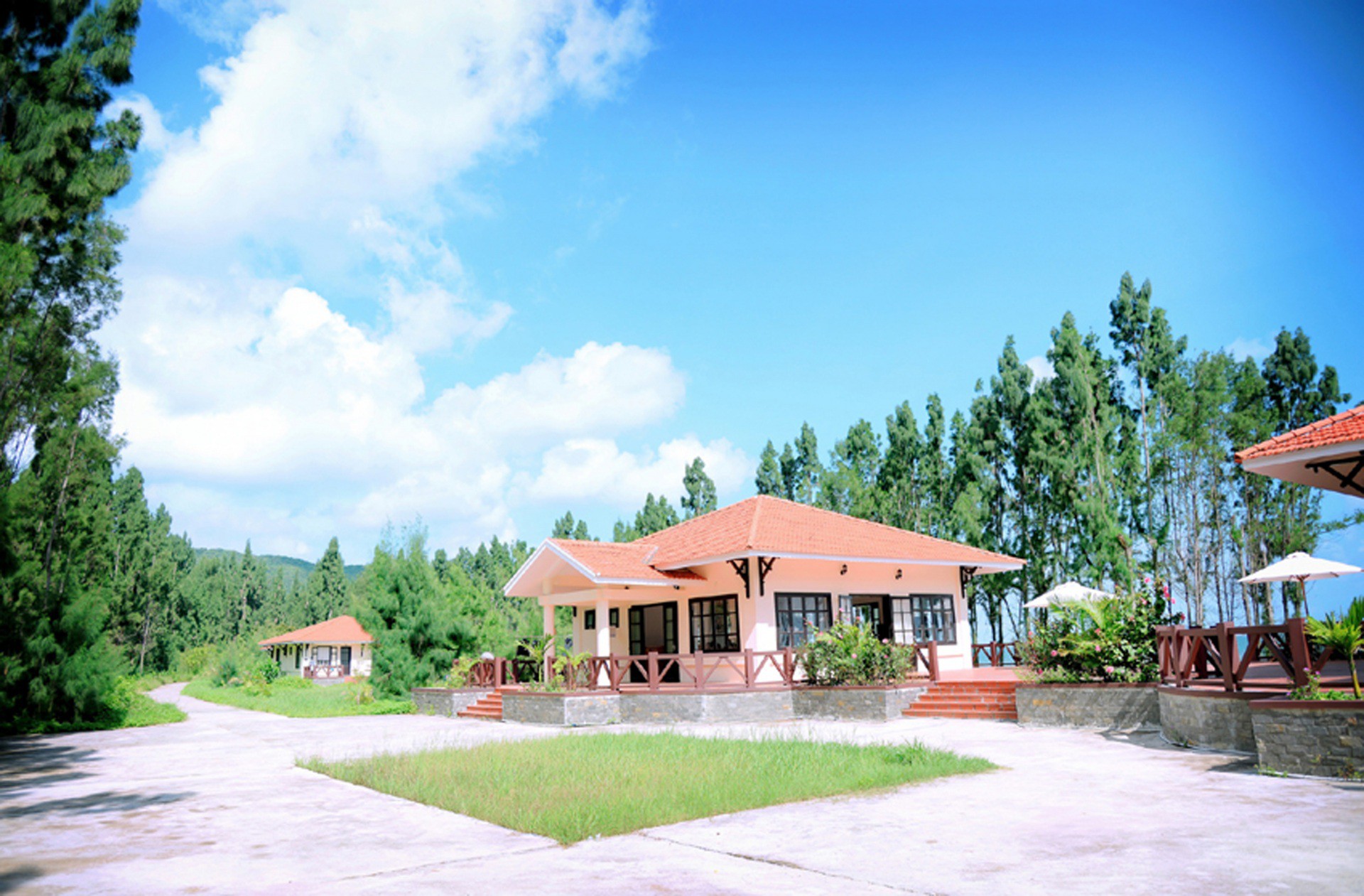 ngoc-vung ngoc-vung