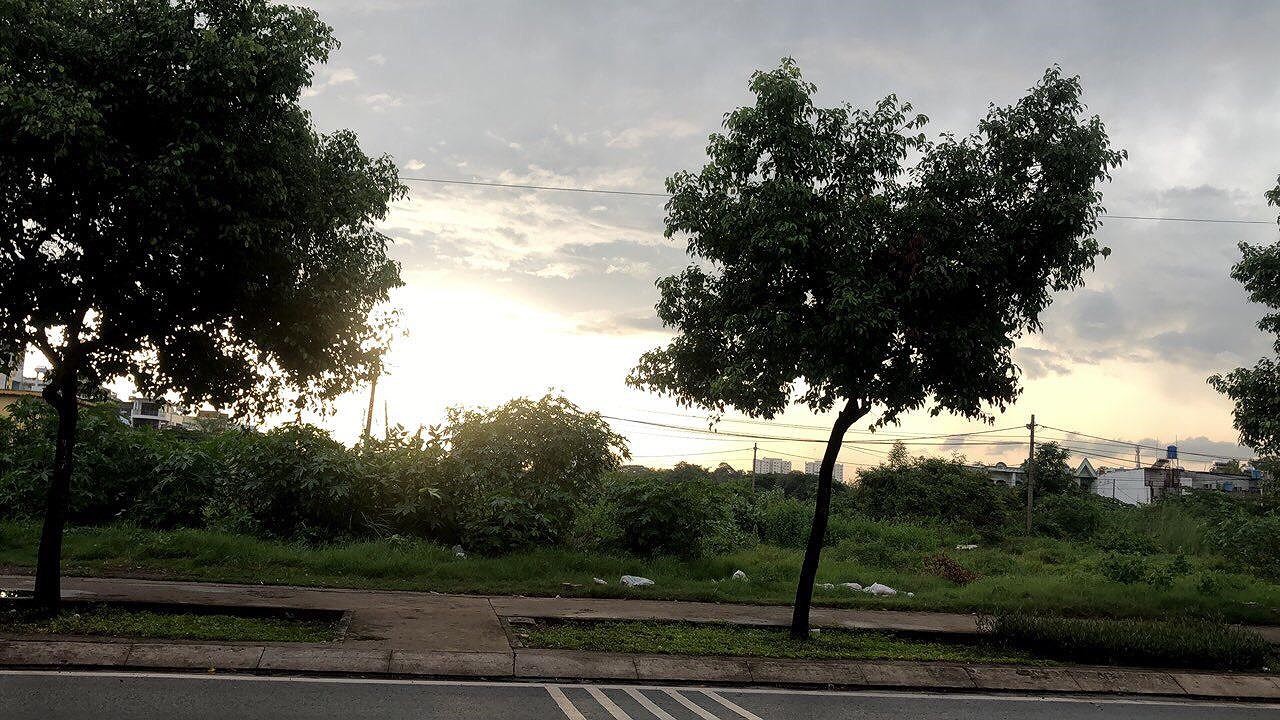 avatar_1566000893220