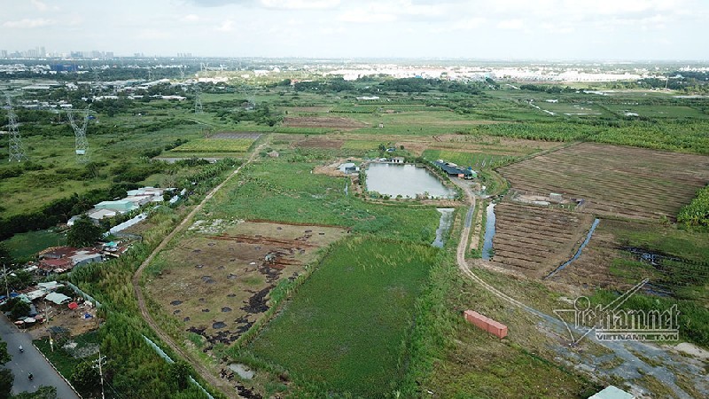 Dự án khu công nghiệp 'treo' gần 20 năm giờ vẫn hoang phế, cỏ mọc um tùm - Ảnh 2.