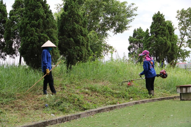 Cư dân ở Xuân Mai Complex hoang mang vì rắn độc xuất hiện - Ảnh 3.