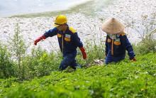 Hà Nội: Cá chết hàng loạt bốc mùi nồng nặc ở hồ Yên Sở