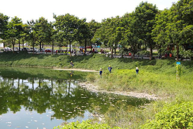 Hà Nội: Cá chết hàng loạt bốc mùi nồng nặc ở hồ Yên Sở - Ảnh 8. Hà Nội: Cá chết hàng loạt bốc mùi nồng nặc ở hồ Yên Sở - Ảnh 8.