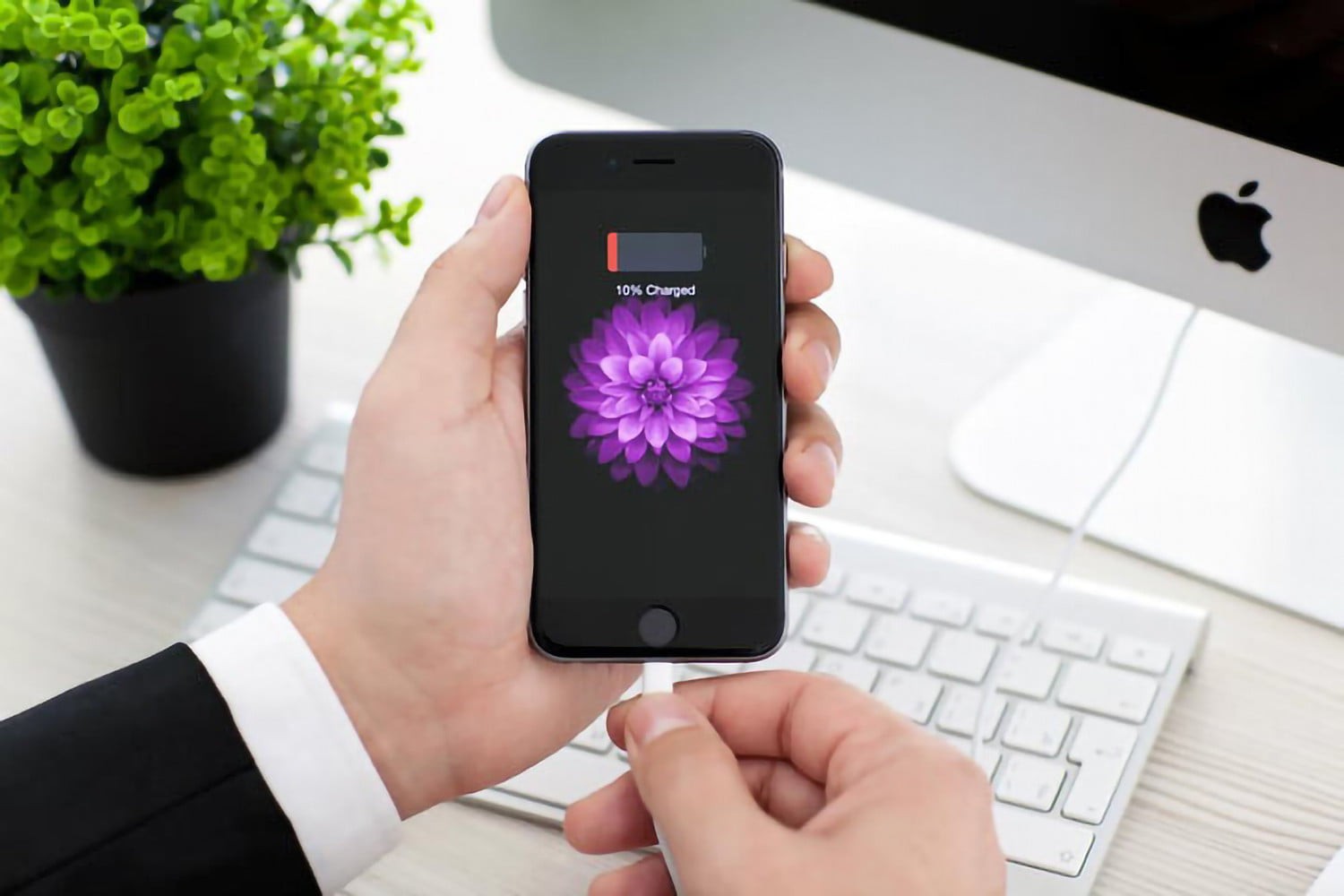 how-to-replace-iphone-battery-feature-image how-to-replace-iphone-battery-feature-image