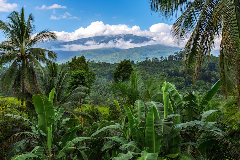mindoro mindoro