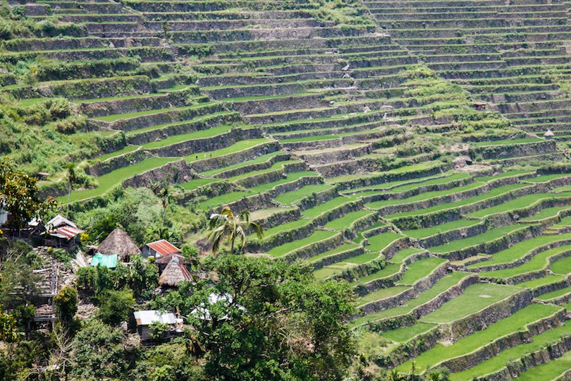 northern_luzon northern_luzon
