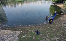 Công ty Thoát nước dọn xác cá chết bốc mùi hôi thối ở hồ Trúc Bạch