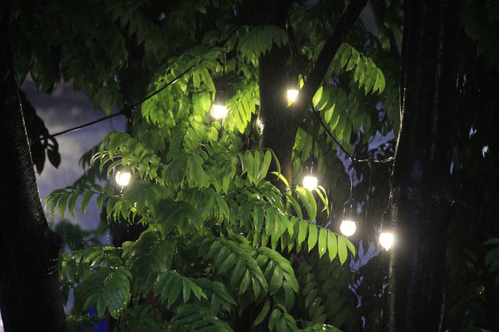 Hà Nội dông lớn, 2h chiều trời tối như ban đêm - Ảnh 8.