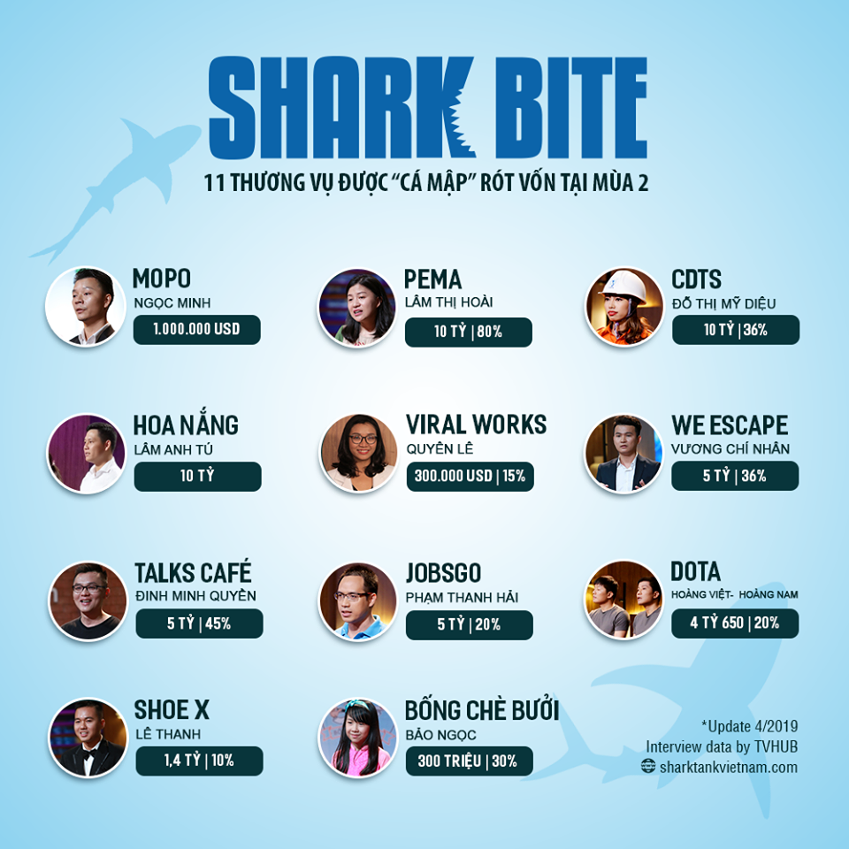 shark bite