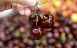 Báo Trung Quốc bàn chuyện cherry Mỹ 250.000 đồng/kg, thịt gà Mỹ dưới 20.000 đồng/kg nhập ồ ạt về Việt Nam
