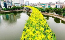 Bất ngờ hình ảnh 'chế' đường sắt trên cao Cát Linh - Hà Đông thành con đường hoa cải