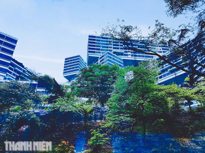 Singapore không hề có cảnh đẹp nhưng vì sao chinh phục tôi hoàn toàn? - Ảnh 4. Singapore không hề có cảnh đẹp nhưng vì sao chinh phục tôi hoàn toàn? - Ảnh 4.