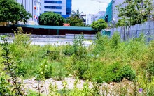 Thừa Thiên - Huế xem xét chấm dứt những dự án 'rùa bò'