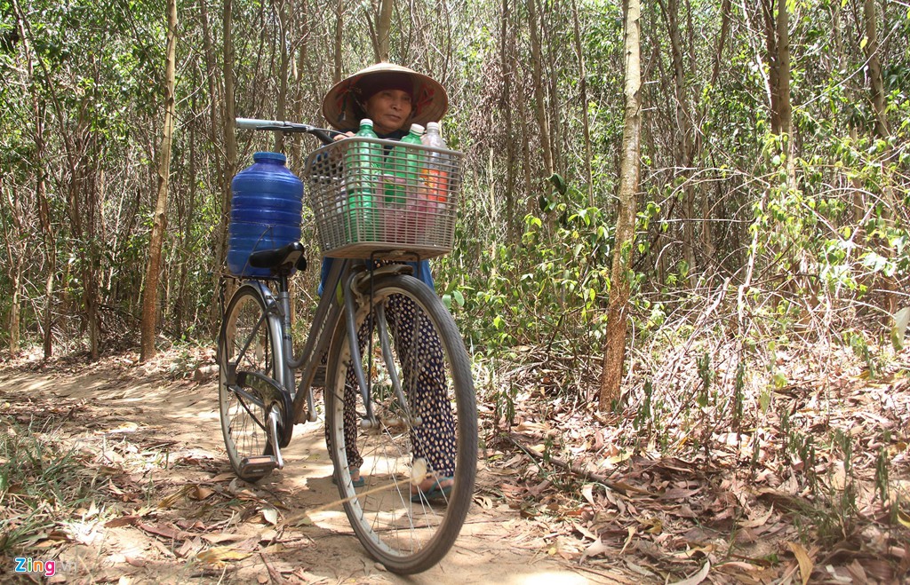 Hơn 1.000 ha lúa chết cháy giữa mùa mưa ở Đắk Lắk - Ảnh 10. Hơn 1.000 ha lúa chết cháy giữa mùa mưa ở Đắk Lắk - Ảnh 10.