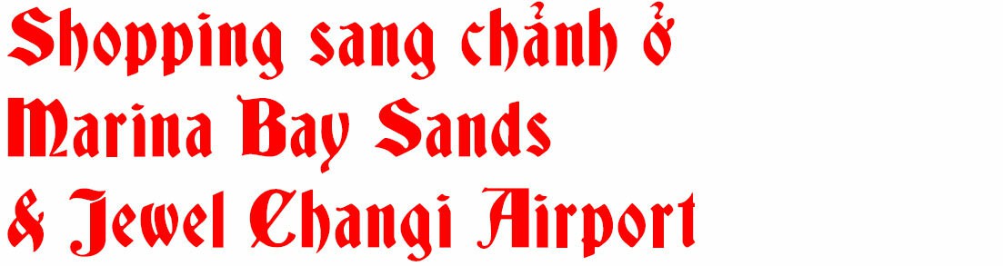 Kinh nghiệm săn hàng hiệu giá hời ở Singapore - VnExpress - Ảnh 10. Kinh nghiệm săn hàng hiệu giá hời ở Singapore - VnExpress - Ảnh 10.
