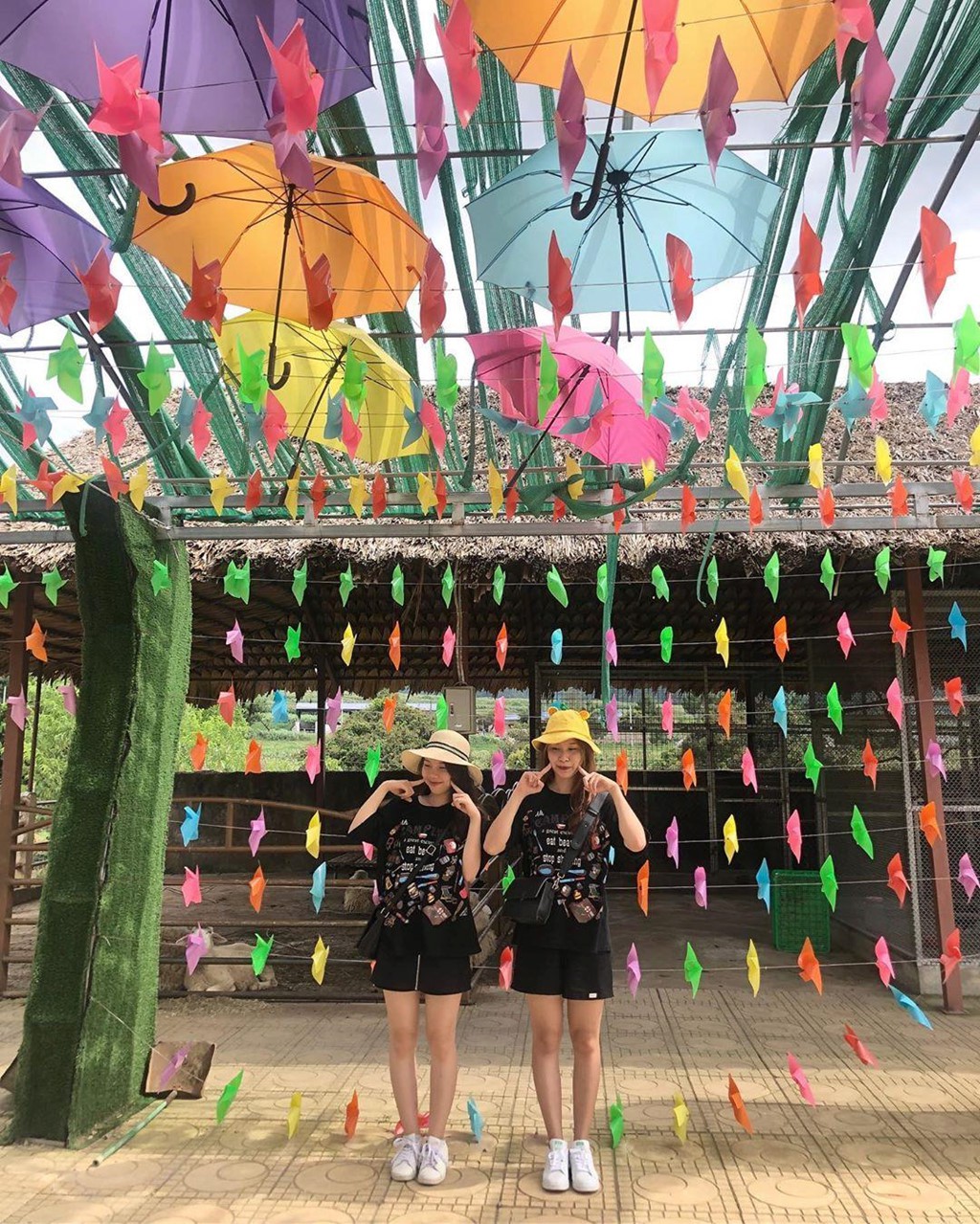 Trai bo sua nhieu goc check-in tuyet dep o Moc Chau thu hut gioi tre hinh anh 2 Trai bo sua nhieu goc check-in tuyet dep o Moc Chau thu hut gioi tre hinh anh 2