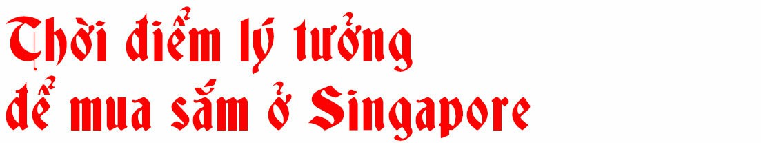Kinh nghiệm săn hàng hiệu giá hời ở Singapore - VnExpress - Ảnh 2. Kinh nghiệm săn hàng hiệu giá hời ở Singapore - VnExpress - Ảnh 2.