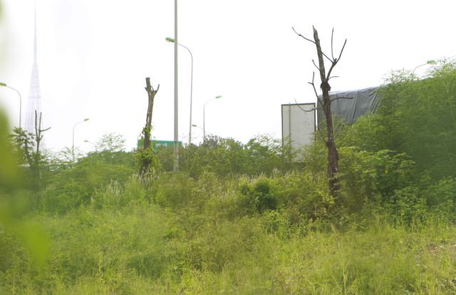 Nhìn từ trên cao 'rừng tái sinh' suốt 24km dọc đại lộ Thăng Long - Ảnh 11. Nhìn từ trên cao 'rừng tái sinh' suốt 24km dọc đại lộ Thăng Long - Ảnh 11.