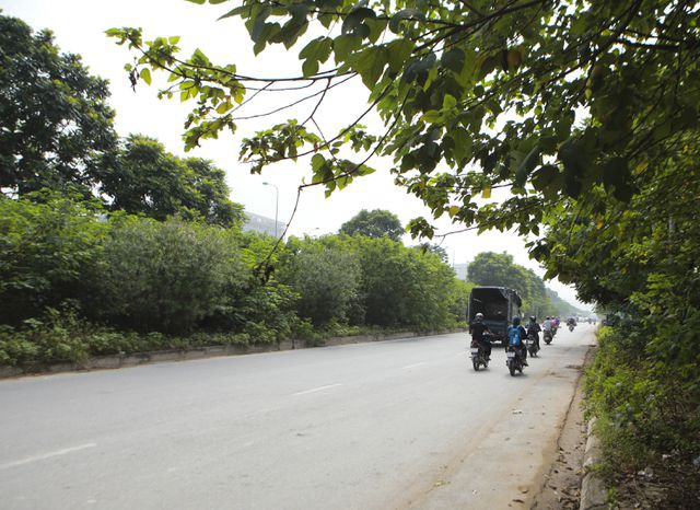 Nhìn từ trên cao 'rừng tái sinh' suốt 24km dọc đại lộ Thăng Long - Ảnh 14. Nhìn từ trên cao 'rừng tái sinh' suốt 24km dọc đại lộ Thăng Long - Ảnh 14.