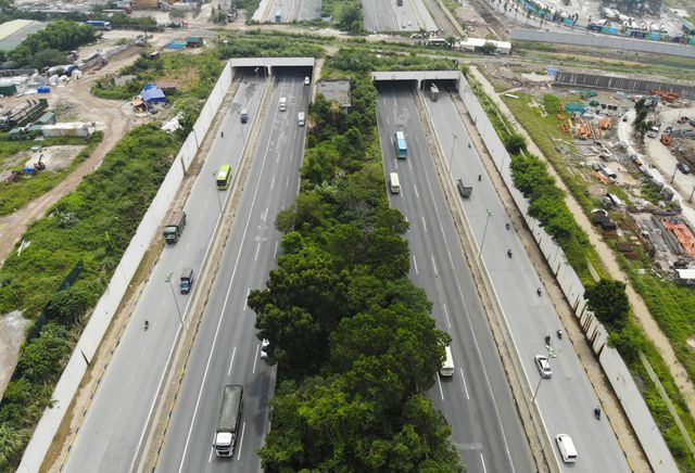 Nhìn từ trên cao 'rừng tái sinh' suốt 24km dọc đại lộ Thăng Long - Ảnh 6. Nhìn từ trên cao 'rừng tái sinh' suốt 24km dọc đại lộ Thăng Long - Ảnh 6.