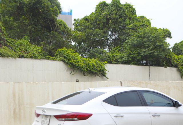 Nhìn từ trên cao 'rừng tái sinh' suốt 24km dọc đại lộ Thăng Long - Ảnh 7. Nhìn từ trên cao 'rừng tái sinh' suốt 24km dọc đại lộ Thăng Long - Ảnh 7.
