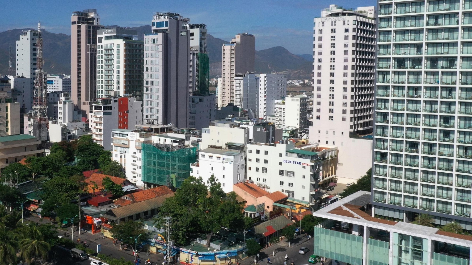 Rung be tong ven bien Nha Trang trong con thoai trao cua condotel hinh anh 7 