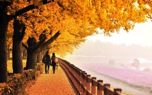 Tour du lịch 5 ngày 4 đêm Hà Nội - Hàn Quốc ngắm lá mùa thu: Nên đi nhóm để tiết kiệm chi phí