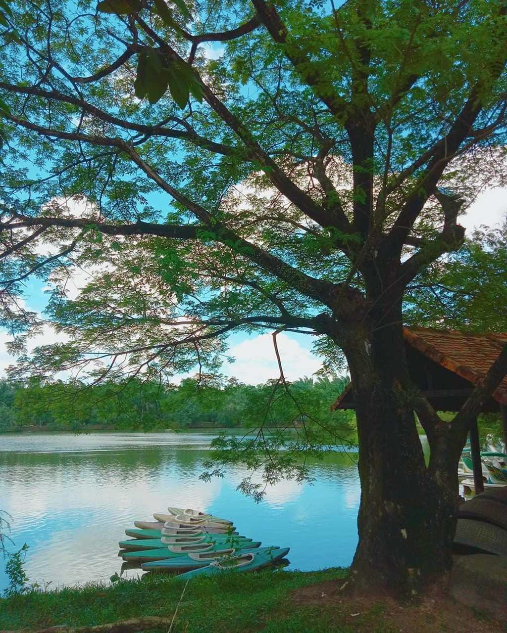 2/9 cung gia dinh du lich trong ngay tai 5 diem noi tieng o Dong Nai hinh anh 15 2/9 cung gia dinh du lich trong ngay tai 5 diem noi tieng o Dong Nai hinh anh 15