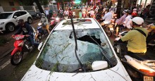Cây đổ la liệt trên đường phố Hà Nội, 1 người chết, 1 người bị thương