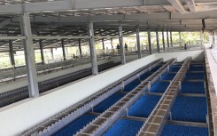 Đà Nẵng chi 1.170 tỉ đồng làm nhà máy nước Hòa Liên sau 7 năm chờ duyệt