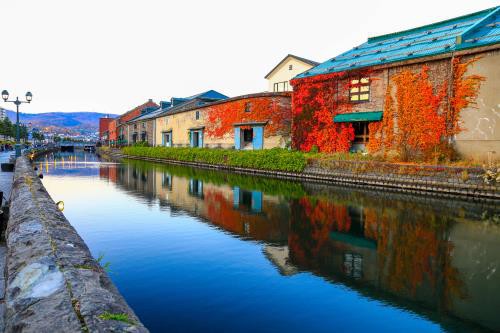 Hokkaido, vùng đất đón mùa thu sớm nhất Nhật Bản - Ảnh 3. Hokkaido, vùng đất đón mùa thu sớm nhất Nhật Bản - Ảnh 3.