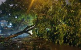 Bão vào Quảng Ninh, gây ngập lụt thành phố Móng Cái