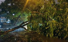 Bão vào Quảng Ninh, gây ngập lụt thành phố Móng Cái