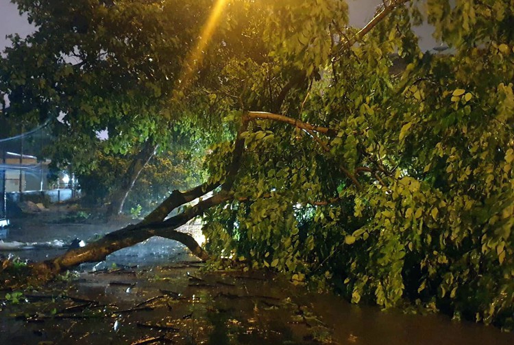Bão vào Quảng Ninh, gây ngập lụt thành phố Móng Cái - Ảnh 1. Bão vào Quảng Ninh, gây ngập lụt thành phố Móng Cái - Ảnh 1.