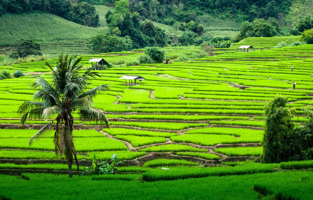 shutterstock_161002784