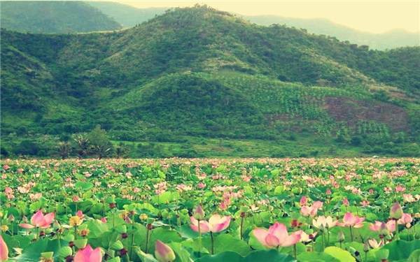 6 địa điểm du lịch 'ngon bổ rẻ' quanh Hà Nội dịp 2/9 - Ảnh 6. 6 địa điểm du lịch 'ngon bổ rẻ' quanh Hà Nội dịp 2/9 - Ảnh 6.