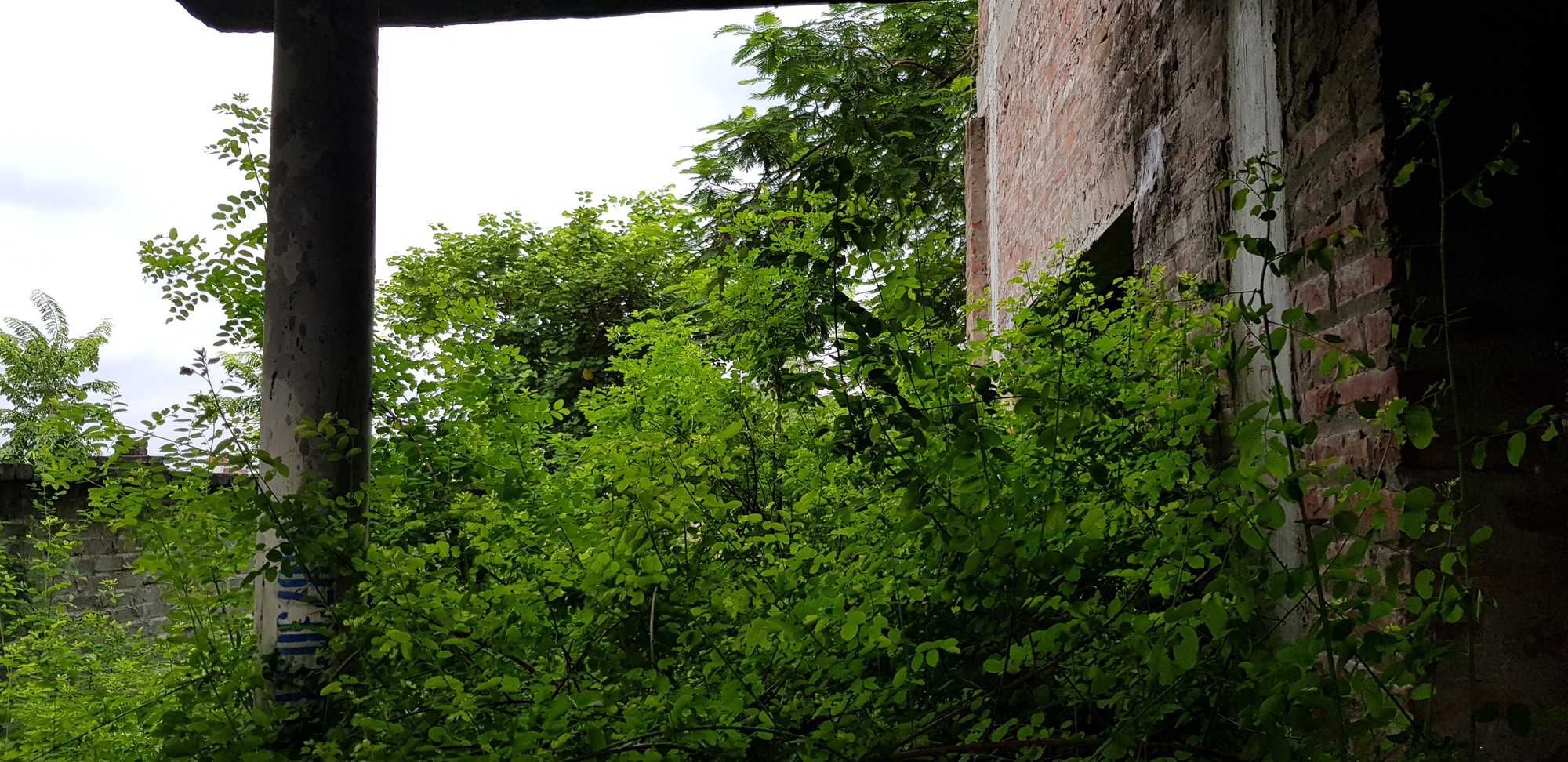 20190830_083137 20190830_083137