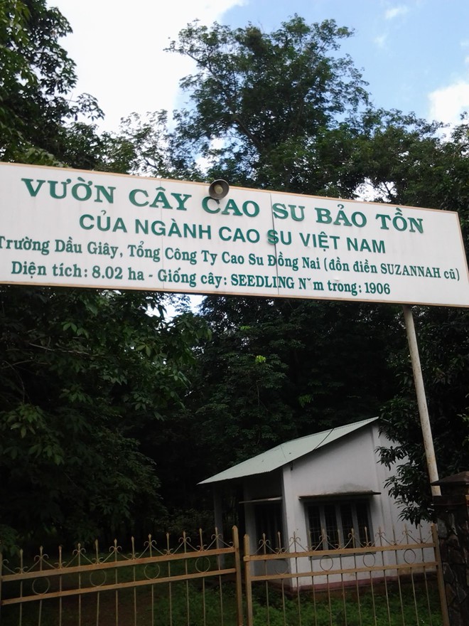Sài Gòn - Dầu Giây: Đoạn đường sắt đầu tiên ở VN - Ảnh 1.