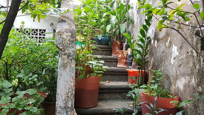 Ông chủ dãy nhà khu Chợ Lớn bỏ đi, từ phận khách trọ bỗng thành chủ nhà - Ảnh 4. Ông chủ dãy nhà khu Chợ Lớn bỏ đi, từ phận khách trọ bỗng thành chủ nhà - Ảnh 4.