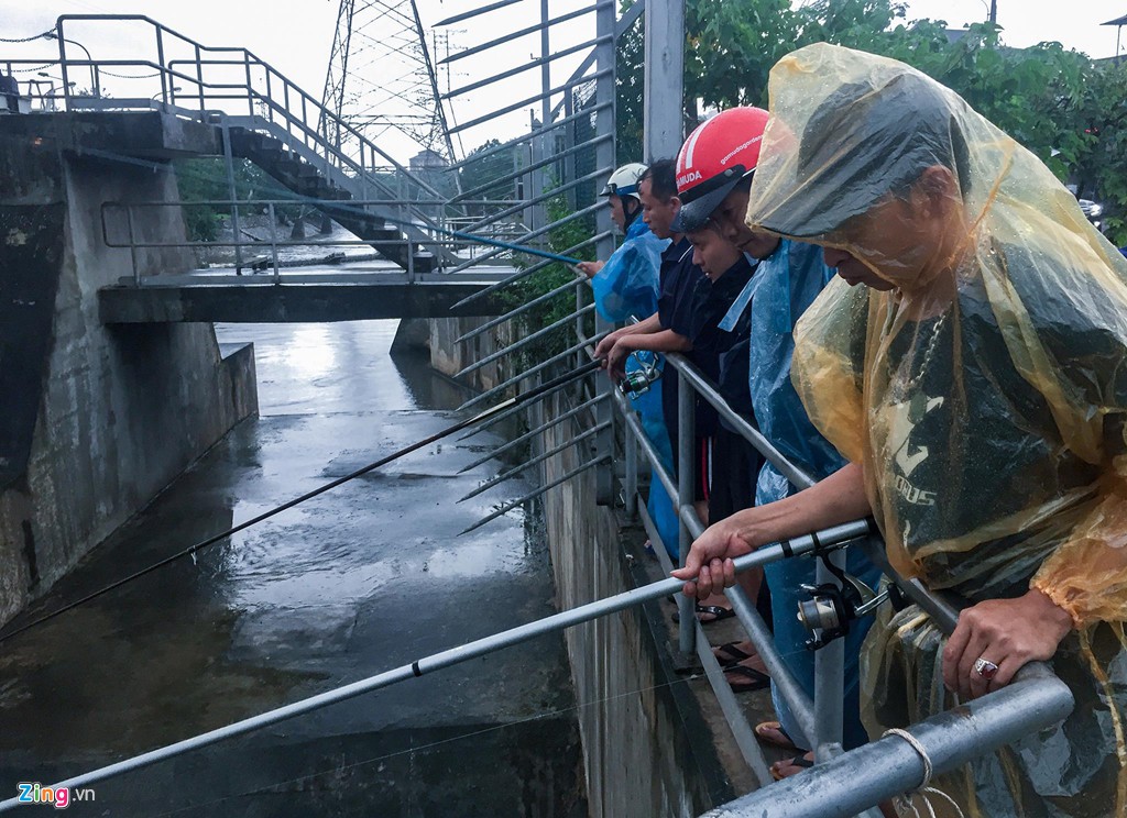 Đổ xô ra sông Kim Ngưu bắt cá ngày mưa bão - Ảnh 9. Đổ xô ra sông Kim Ngưu bắt cá ngày mưa bão - Ảnh 9.