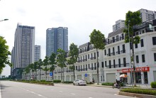Giá bất động sản tại 'phố lạ Ngô Minh Dương' lên tới 250 triệu đồng/m2