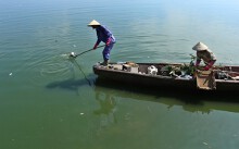 Cảnh vớt cá chết hồ Tây, bắt cá sống ở sông Tô Lịch