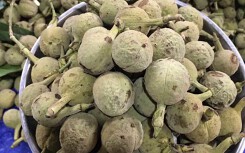 Quả rừng lạ về Hà Thành, đặc sản màu đen nấu bát canh mất 1 tiếng